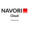 Cloud / Professional